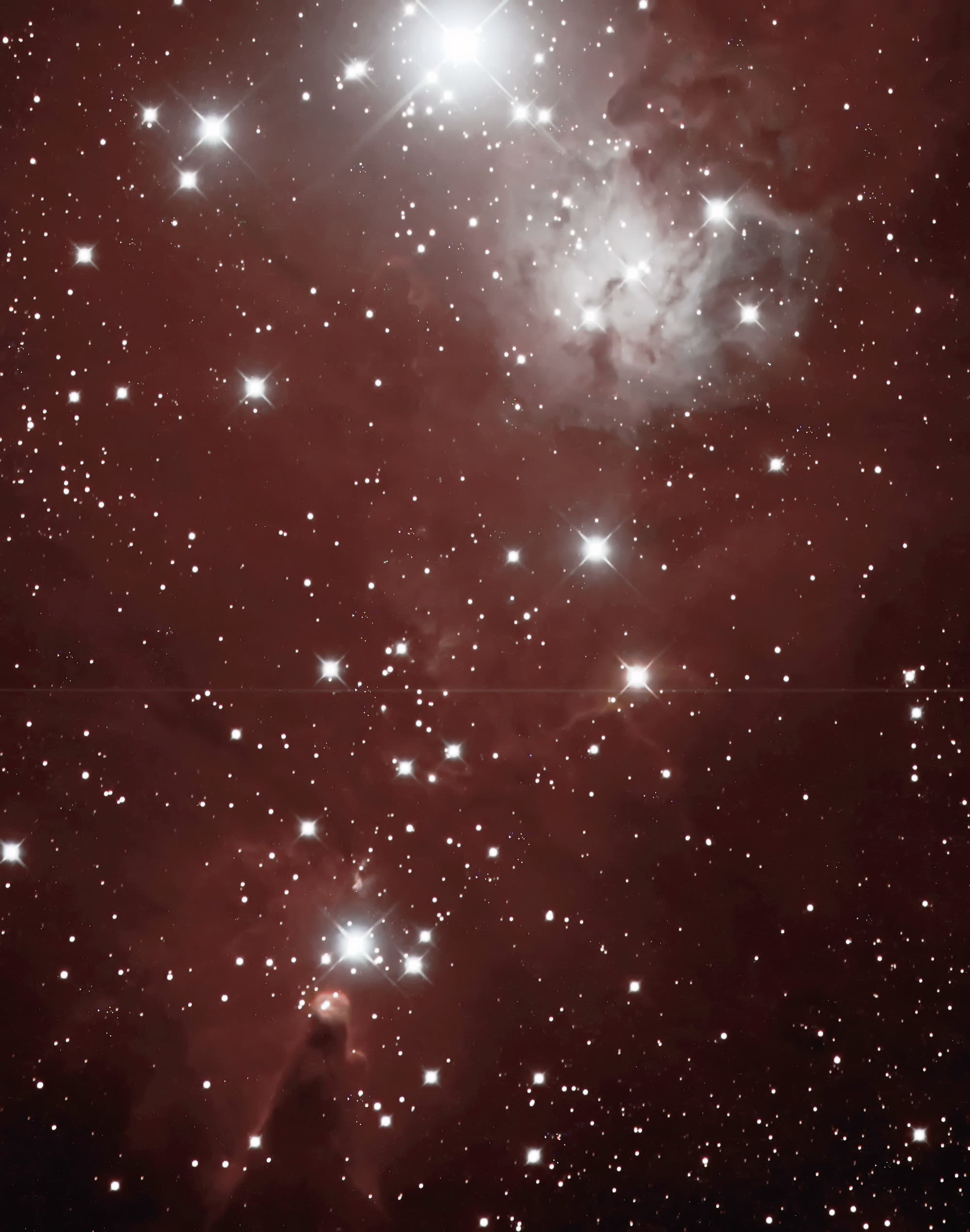 NGC 2264 Spektrum der Wissenschaft